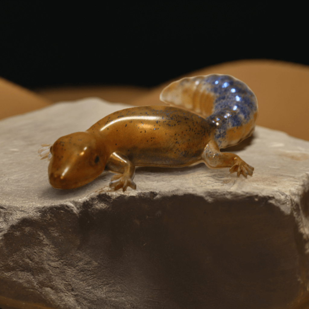 Resin Salamander Figurine Trinket ,Mixed Color Unique